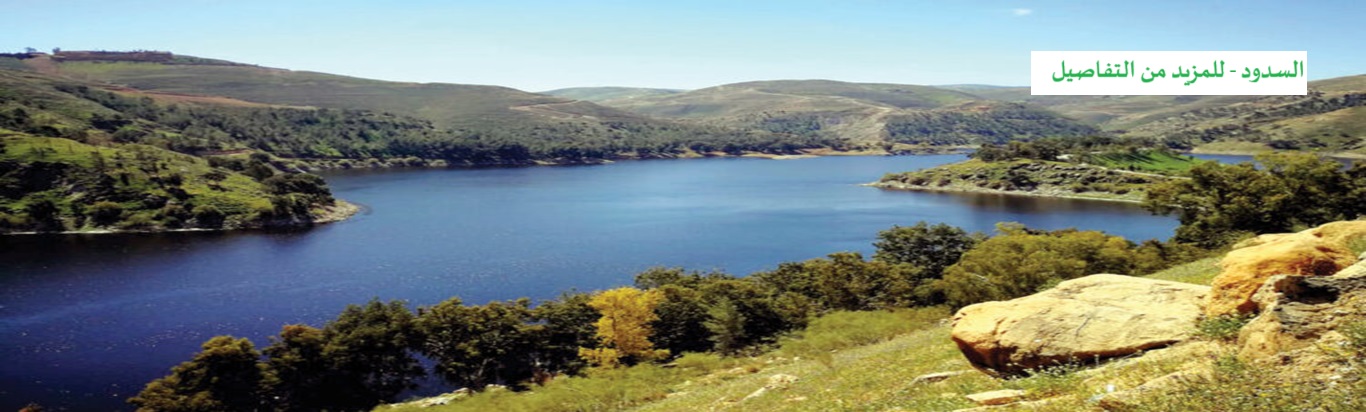 سد_الملك_طلال